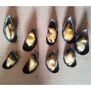 mejillones de media concha congelados venta caliente de sabor natural